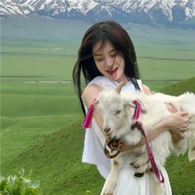 区区假意付真心